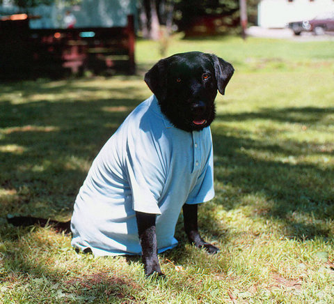 Photos 201 400 Monaghan 2008 12 07jpg  369