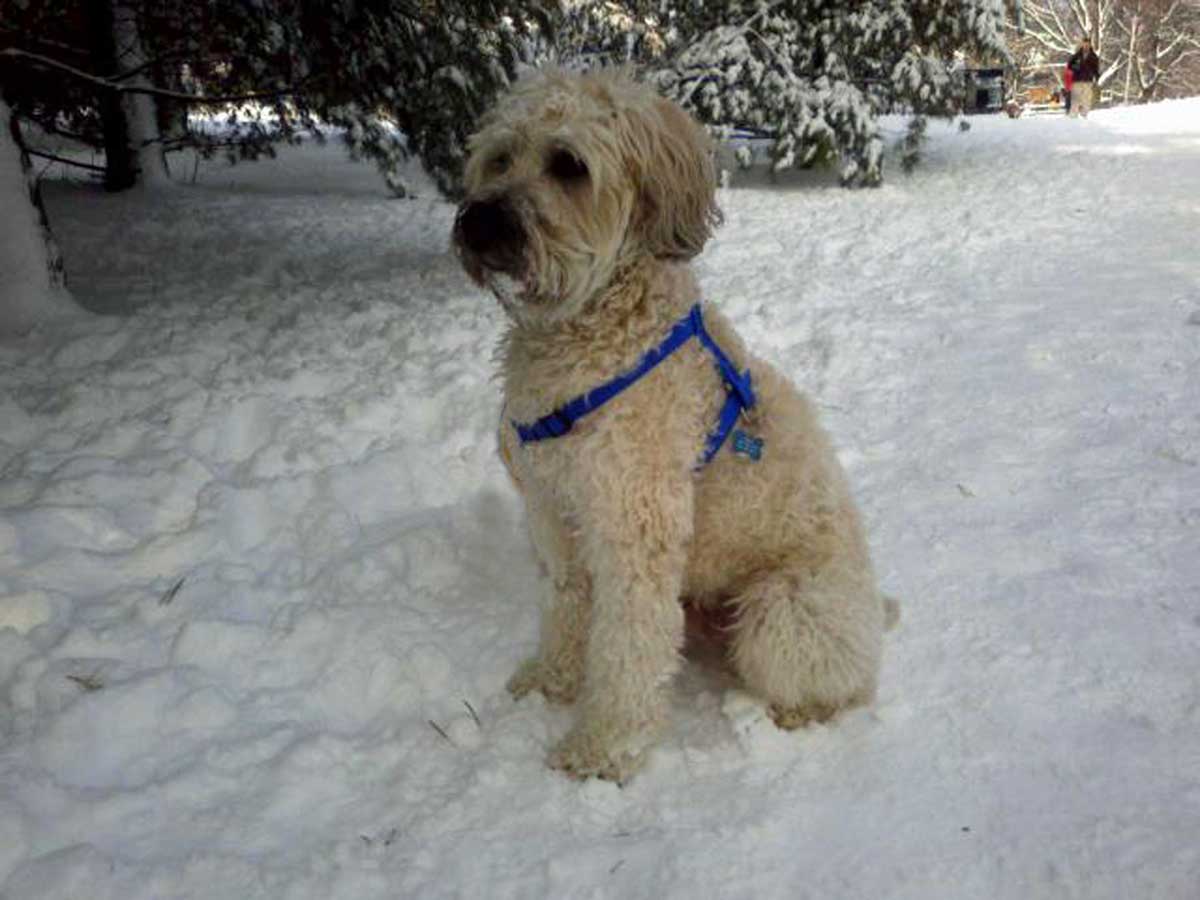 Digby