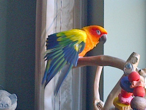 Toronto 20120108 00002