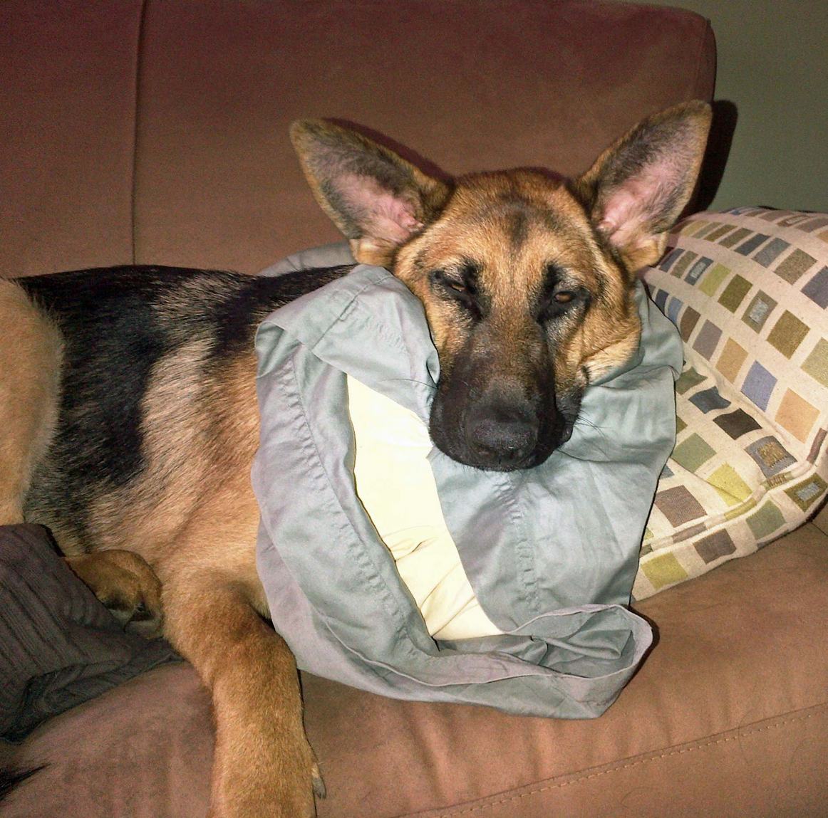 Toronto 20130420 00146