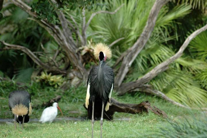 Captured 2004 10 18 00006