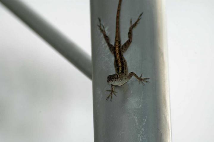 Captured 2004 10 18 00014