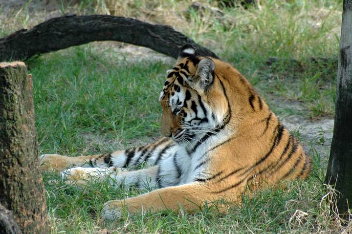 Captured 2004 10 18 00038